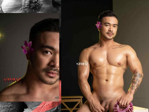 STUDZ-01--Zesty--Ebook--Video-